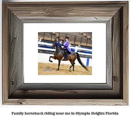 family horseback riding near me in Olympia Heights, Florida